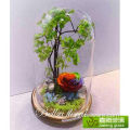 Vase de terrarium de pièce maîtresse de dôme en verre moderne